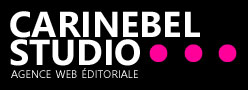 agence editoriale annecy - agence web annecy
